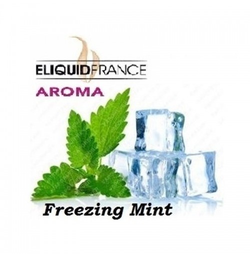 Άρωμα Eliquid France Freezing Mint 10ml